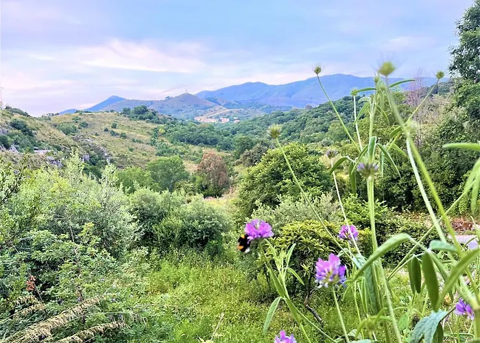 Casa Marina * Scalea