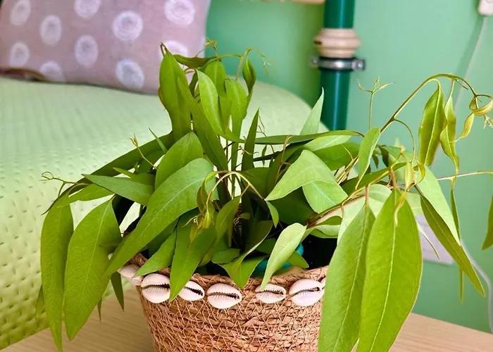 Apartamento Casa Marina *