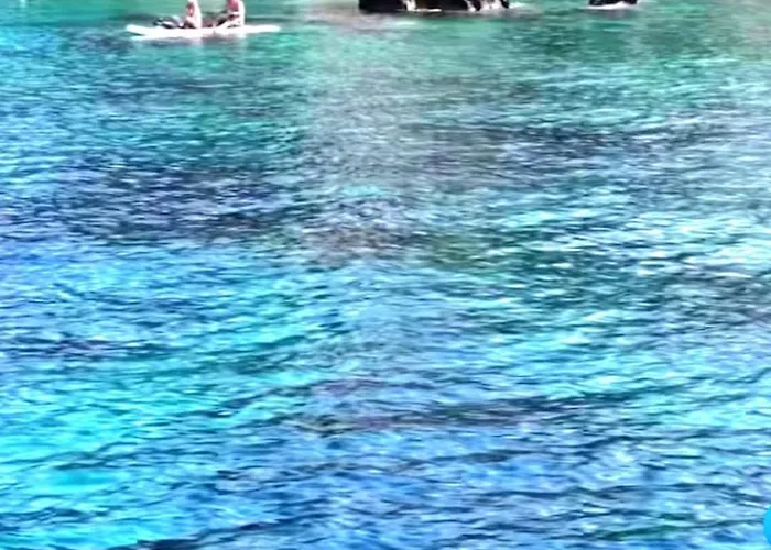 Casa Marina アパート